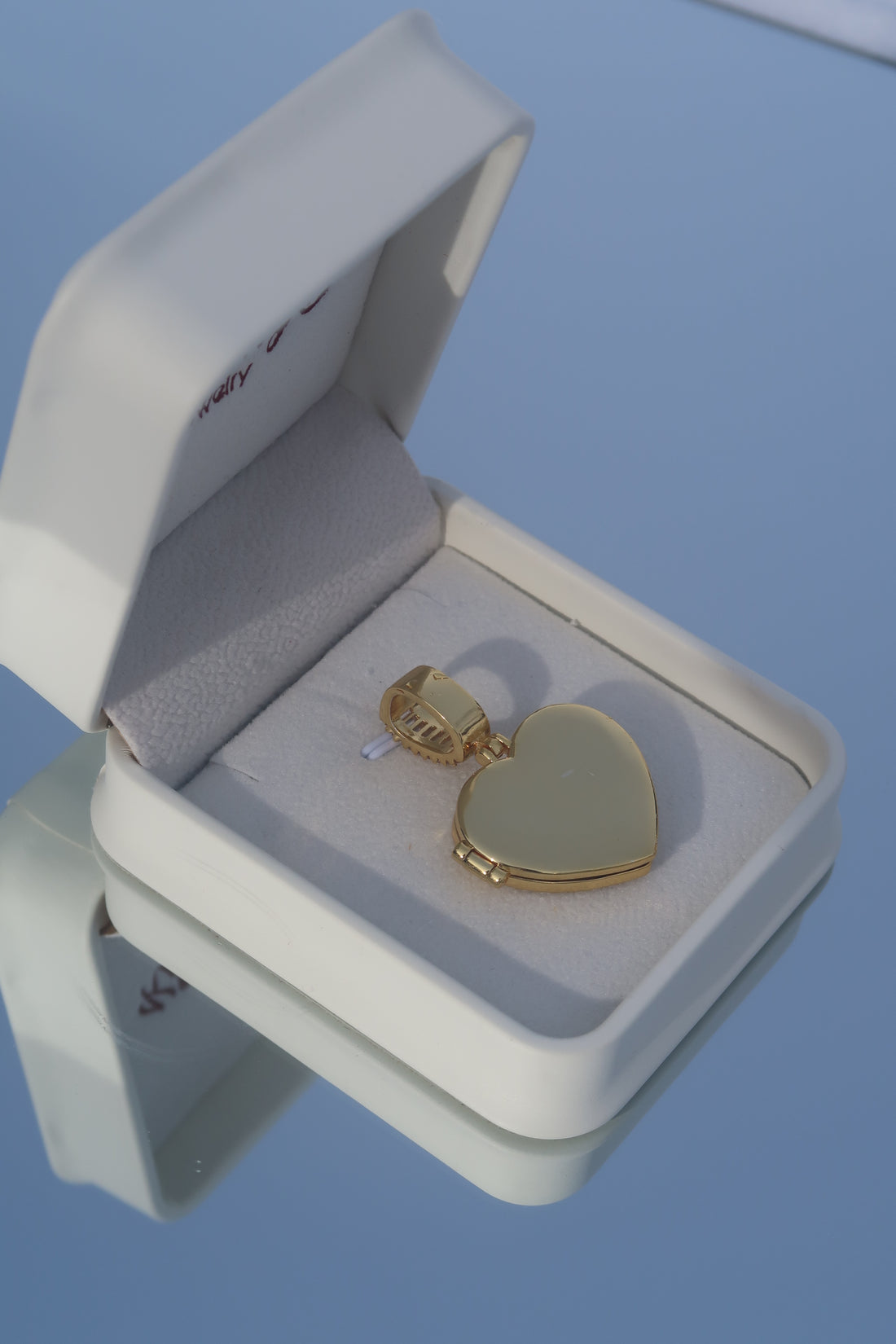 Heart Picture Pendant & Rope Chain